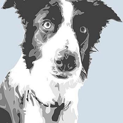 Collie art print by Emily Burrowes