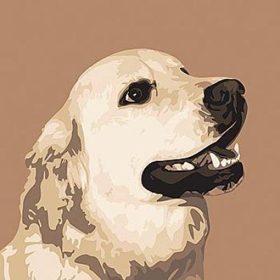Golden Retriever art print by Emily Burrowes