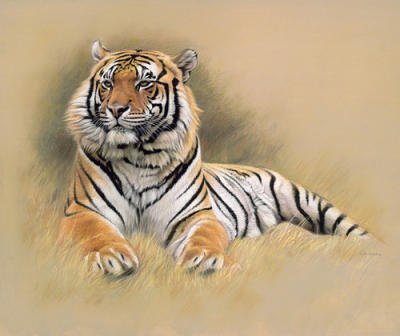 Tiger art print by Gary Stinton