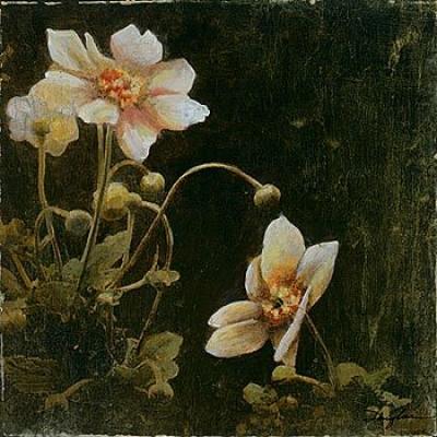 Midsummer Night Bloom I art print by John Douglas