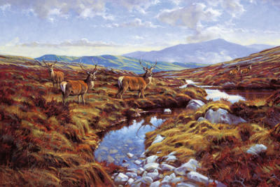 Stags art print by Peter Munro