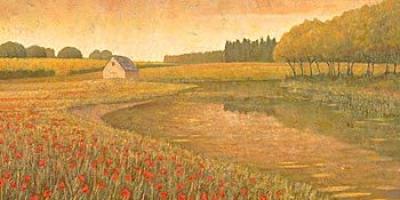 Lakeland Meadows I art print by Stephen Mitchell