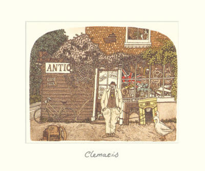 Clematis