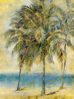 Palm Hammock II