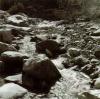 Ansel Adams art print