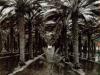 Ansel Adams art print