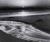 Ansel Adams art print