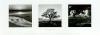 Ansel Adams art print