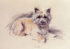 Mac (Lucy Dawson) art print