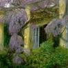 Piet Bekaert art print