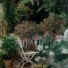 Piet Bekaert art print