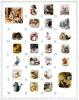 Beatrix Potter art print