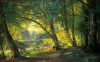 Carl Frederic Aagaard art print