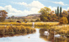 David Morgan art print
