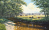 David Morgan art print