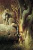 Dick Van Heerde art print