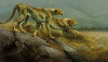 Dick Van Heerde art print
