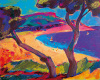 Gerry Baptist art print