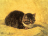 Henriette Ronner-Knip art print