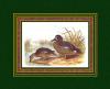 Henry Jones art print