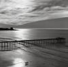 Ansel Adams art print