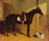 John Frederick Herring art print
