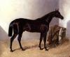John Frederick Herring art print