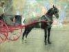 Joseph Crawhall art print
