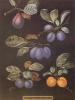 George Brookshaw art print