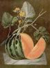 George Brookshaw art print