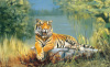 Leonard Pearman art print