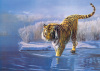 Leonard Pearman art print