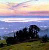 Marcia Burtt art print