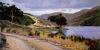 Marcia Burtt art print
