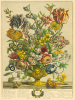 Robert Furber art print