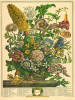 Robert Furber art print
