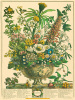 Robert Furber art print