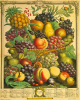 Robert Furber art print