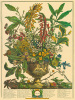 Robert Furber art print