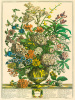 Robert Furber art print