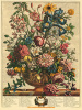 Robert Furber art print