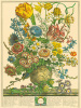 Robert Furber art print