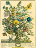 Robert Furber art print