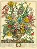 Robert Furber art print