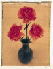 Scott Morrish art print