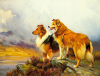 Wright Barker art print