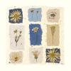 Julie Lavender art print