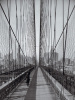Hulton Collection art print
