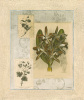 Dennis Carney art print