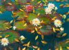Lunden art print